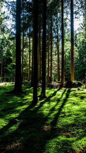 网站建设代理截图1