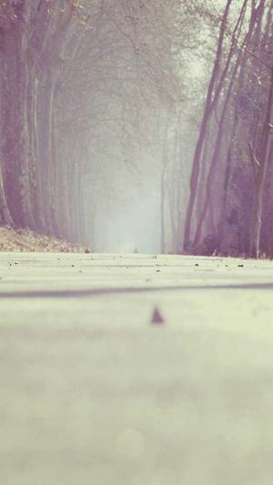 站长工具seo客户端截图2