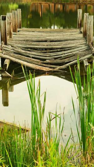 山西头条蜘蛛池出租截图4