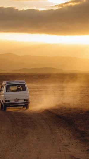 牛牛蜘蛛池截图1