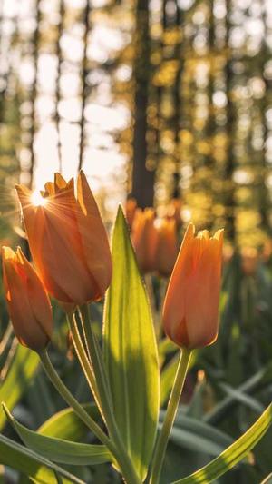 网站建设验收截图2