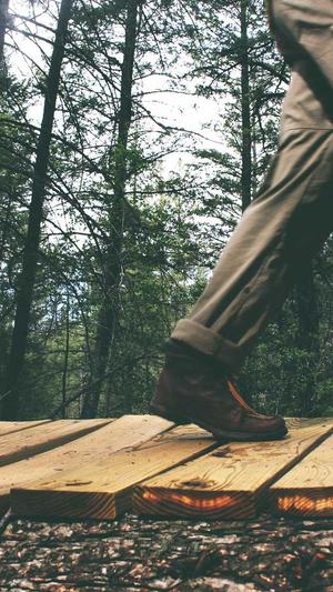 seo智能优化工具截图2