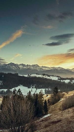 seo自动推广工具外推截图4