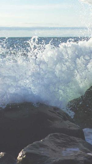 如何搭建自己的蜘蛛池截图5