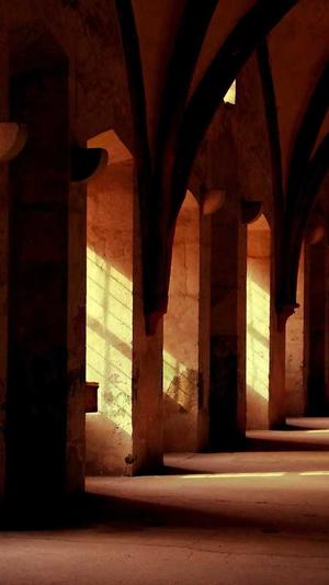 seo发包工具截图3