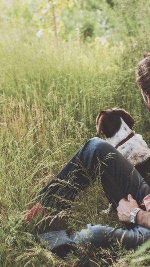 重庆seo公司截图1