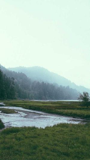 淘宝seo推广工具截图3