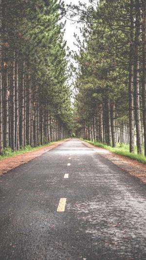 小旋风万能蜘蛛池怎么样截图3