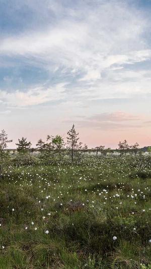 建设银行网站截图4