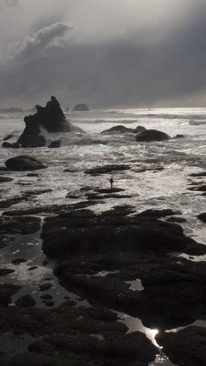 网站建设包括哪些截图3