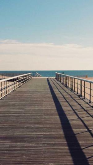 免费seo网站优化工具截图3