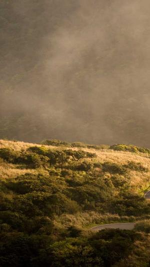 超级蜘蛛池效果怎样截图3