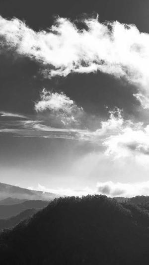 关键词优化推广乐云seo截图1