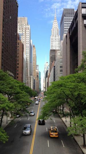 网站seo分析工具截图1