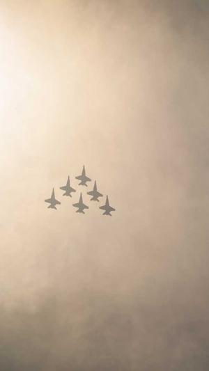 自动seo工具截图4