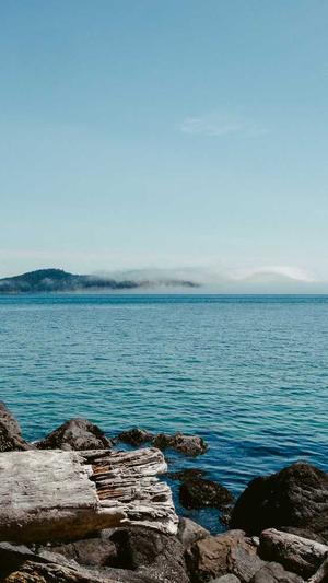 上海seo排名工具截图1