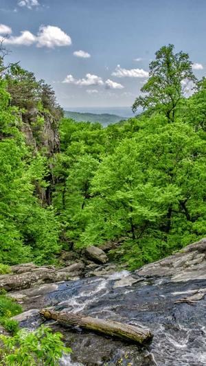 蜘蛛池程序下载安装包截图1