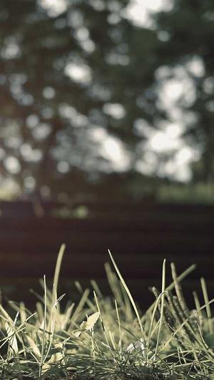 小旋风万能蜘蛛池怎么样截图2