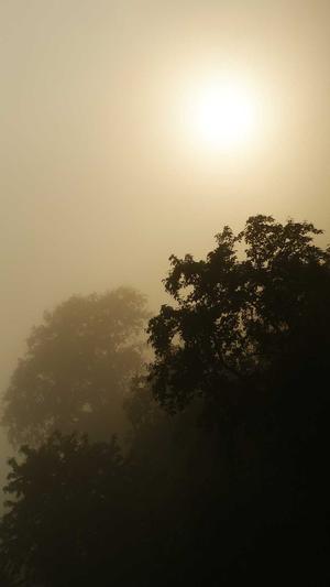 如何搭建自己的蜘蛛池截图3