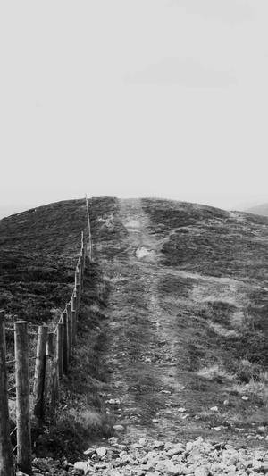 爱站seo工具之长尾词截图1