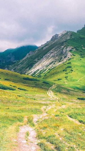 广州建设工程交易中心网站截图2