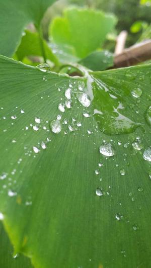 网站建设中图片截图2