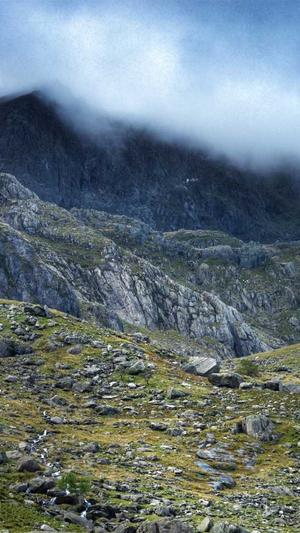 seo 连接测试工具截图4