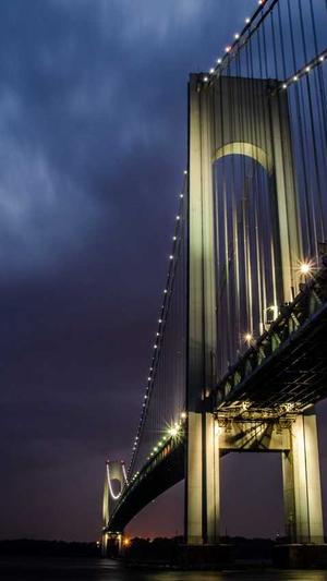 郑州建设局网站截图5