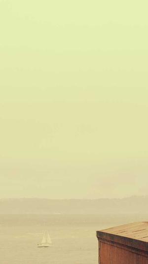 网络优化seo截图1