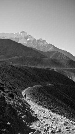 泛目录排名代发截图2