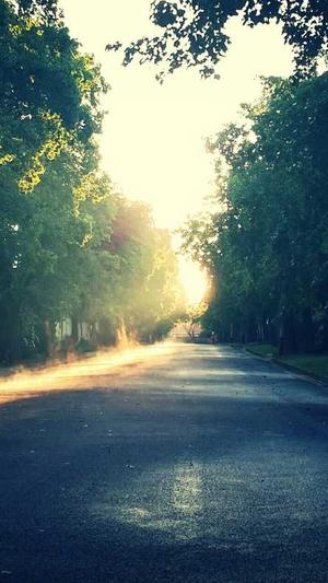 蜘蛛池的应用方法截图4