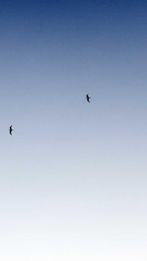 黑龙江网站建设截图3