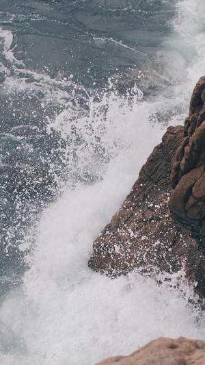 搭建蜘蛛池做seo 外推截图4