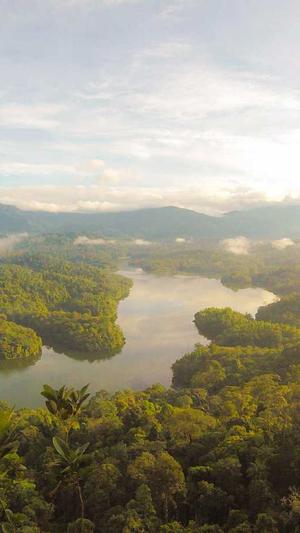 武汉seo排名工具截图1