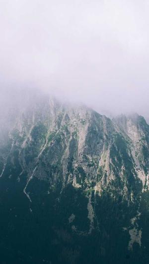 精美网站建设截图2