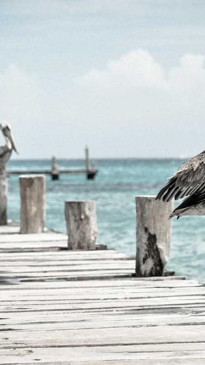 seo自动推广工具外推截图3