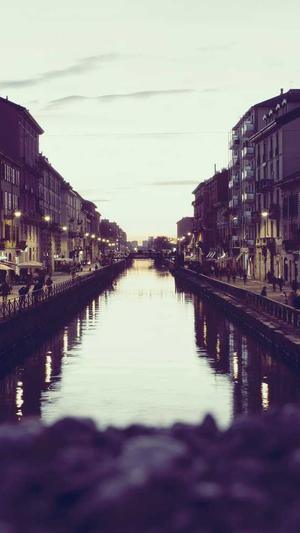 蜘蛛池 霸屏截图3