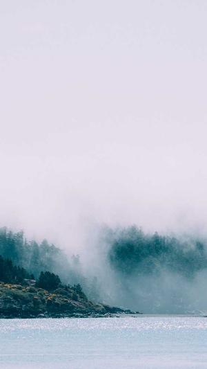 蜘蛛池到底有没有用截图1