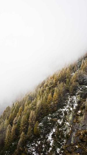 搜狗蜘蛛池租用价格表截图4