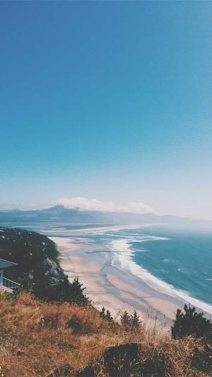 蜘蛛池出租行业推广截图4