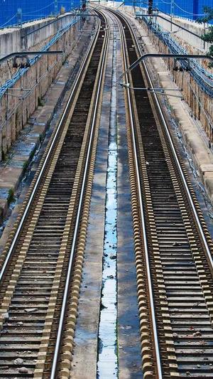 泛目录排名代发截图4