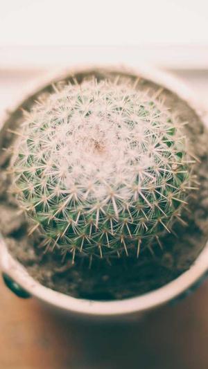 建设公司的网站建设截图3