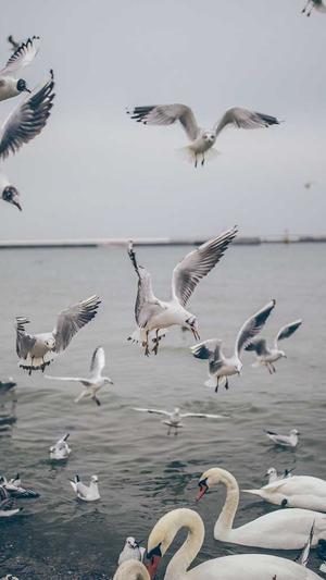 奉贤网站建设截图3