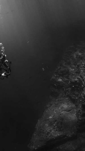 电子商务seo截图2