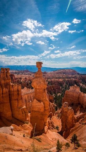 枣庄网站建设截图2