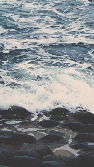 seo.chinaz.com截图2