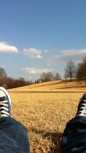 蜘蛛池软件代运营截图3