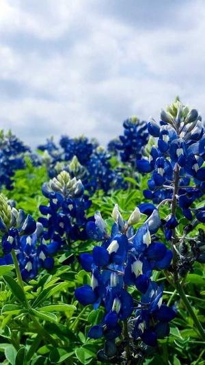 网站seo优化软件截图2