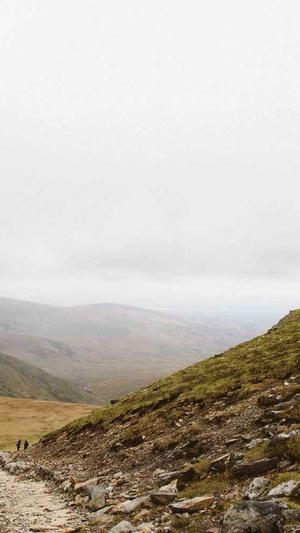 蜘蛛池没蜘蛛怎么回事截图2