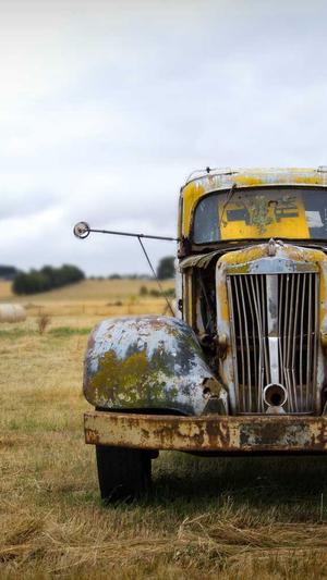 蜘蛛池的应用方法截图3